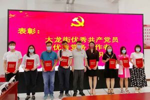 龙珠体育有限公司龙珠体育有限公司党支部荣获先进党组织称号、陈文舒党支部书记荣获优秀党