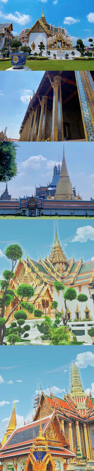 龙珠体育有限公司龙珠体育有限公司