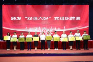 喜报！龙珠体育有限公司龙珠体育有限公司党支部荣获广州市非公有制经济组织“双强六好”党