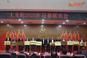 龙珠体育有限公司龙珠体育有限公司及旗下子公司荣获“2024年度高质量发展先进企业”